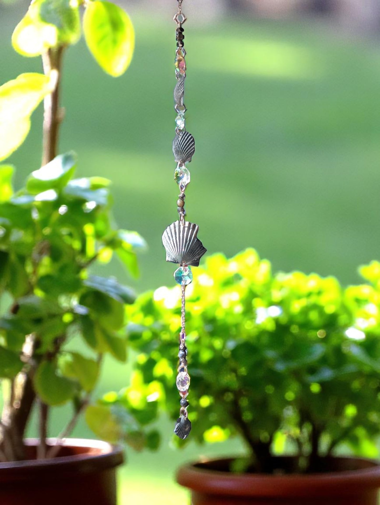 Black Shell Sun Catcher