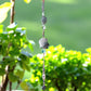 Black Shell Sun Catcher